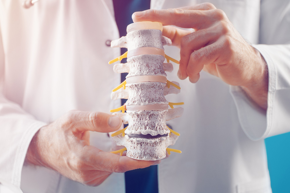 Navigating the Road to Recovery After Spinal Fusion Surgery