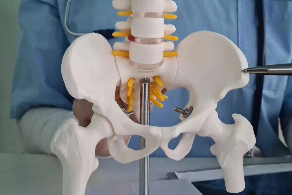 Hip Replacement: Navigating Your Options in Altamonte Springs, FL