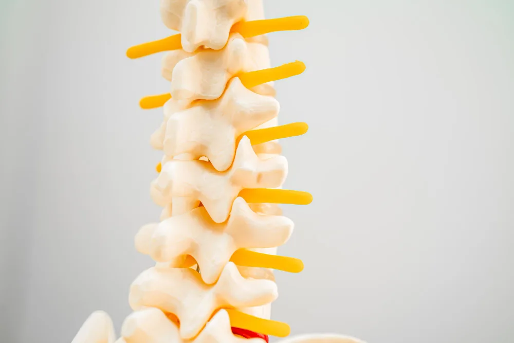 Getting Ready for Your Discectomy: A Comprehensive Guide