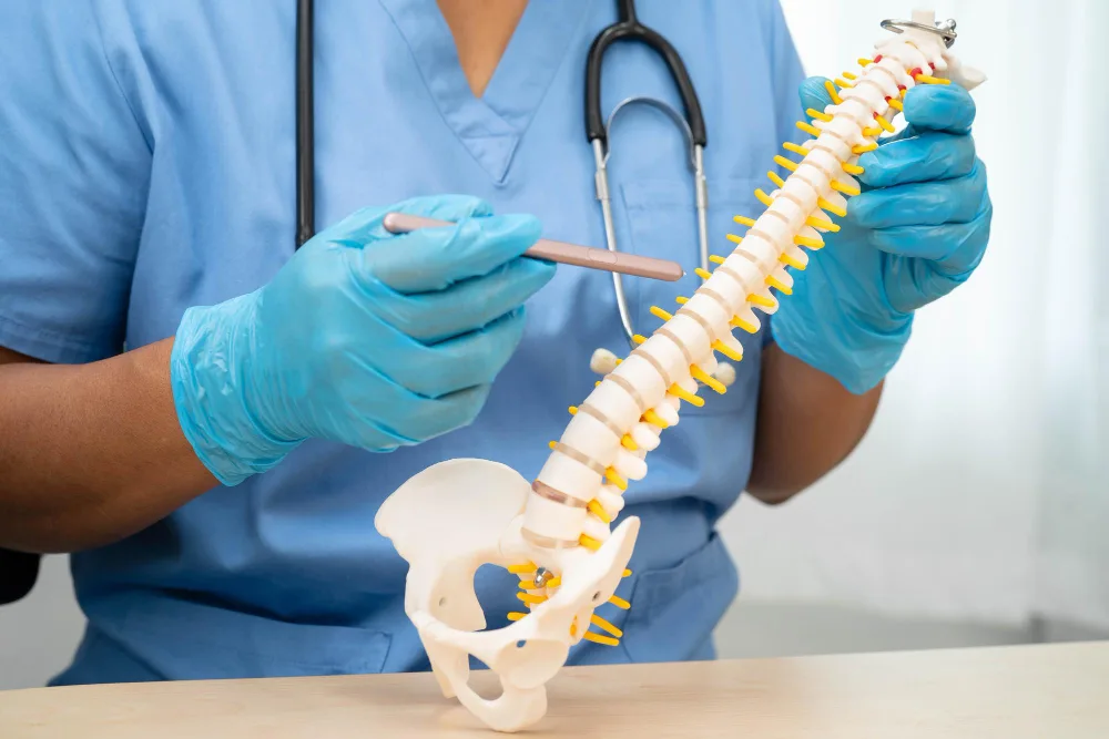 Spinal Fusion for Scoliosis: What You Need to Know